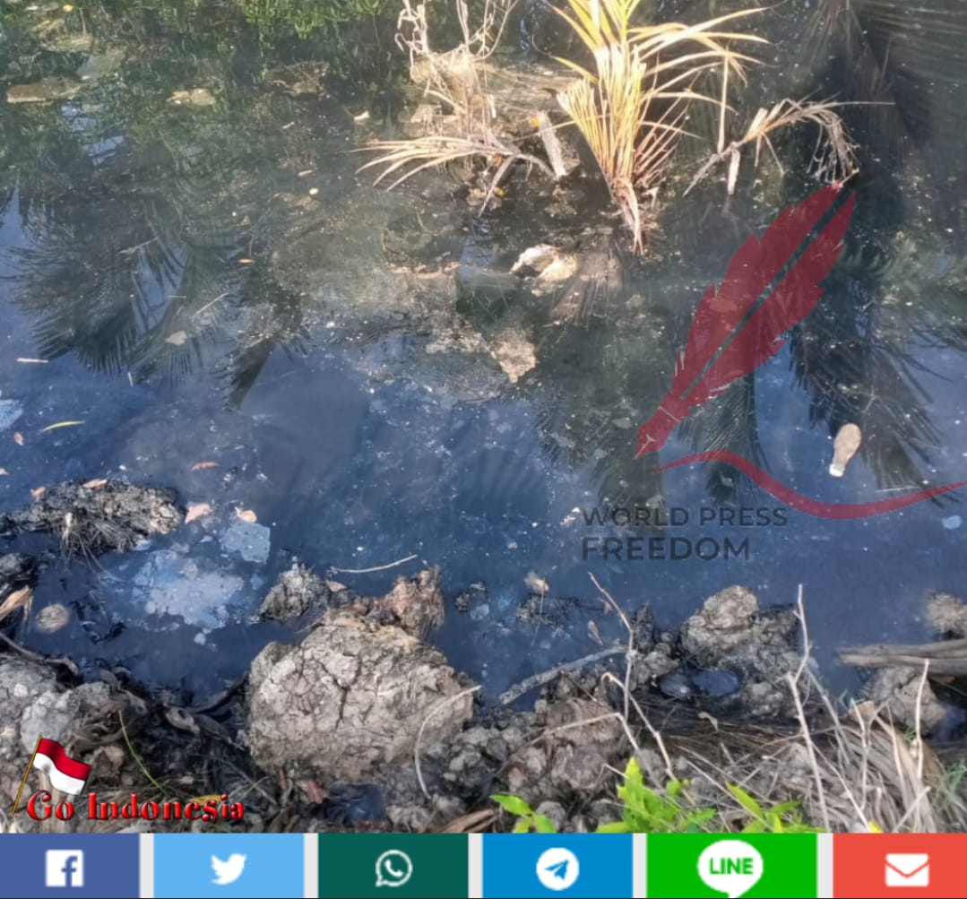 Diduga Buang Limbah Ke Anak Sungai, Beranikah DLH Provinsi Jambi Tindak PT. Sumber Waras