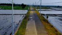 Pemasangan PJU Telah Merata di Wilayah Kecamatan, Warga Bojonegoro Makin Merasa Aman dan Nyaman