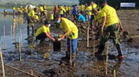 ASDP Berhasil Kumpulkan Lebih Dari 830 kg Sampah Plastik Selama akhir Tahun 2023, Konsisten Dukung Gerakan Reduksi Emisi Karbon