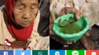 Kelaparan Sebatang Kara Nenek Mursi di Lampung Hanya Makan Daun Singkong Karena Beras Mahal