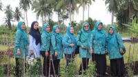 Sempena Hari Kesatuan Gerak, Hj Ismiatun Asmar Pimpin PKK Meranti Ikuti Gerakan Tanam Cabai Serentak