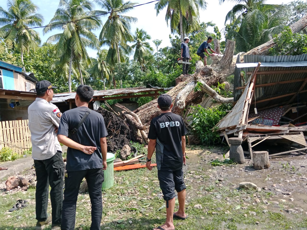Angin Kencang Terjang Selayar
Dua Unit Rumah dan Masjid Dibuat Porak Poranda