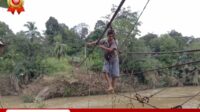 IMG 20240120 WA0023