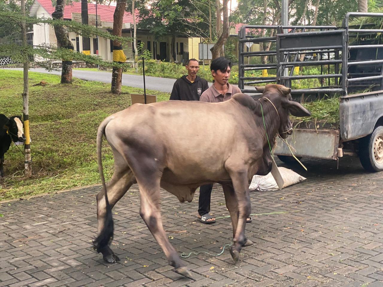 IMG 20240616 WA0140