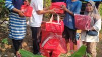 IMG 20240727 WA0039
