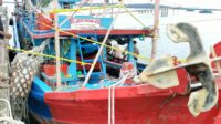 IMG 20241201 WA0002 1