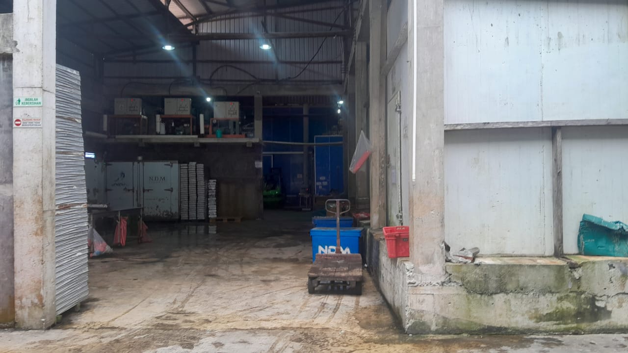 IMG 20241216 WA0082