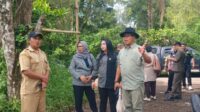 IMG 20250111 WA0034
