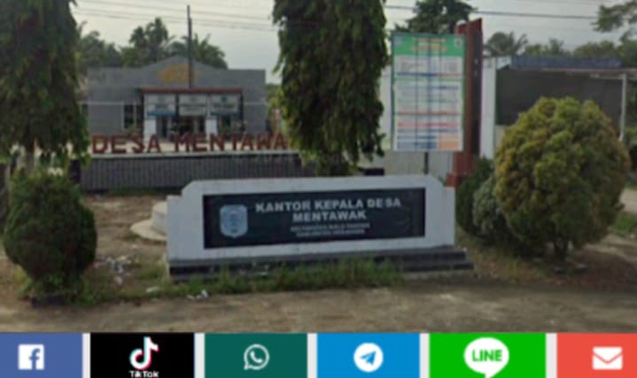IMG 20250121 WA00181