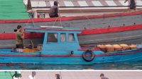 IMG 20250201 WA00131