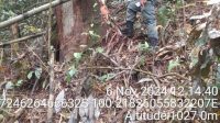 IMG 20250208 WA0020