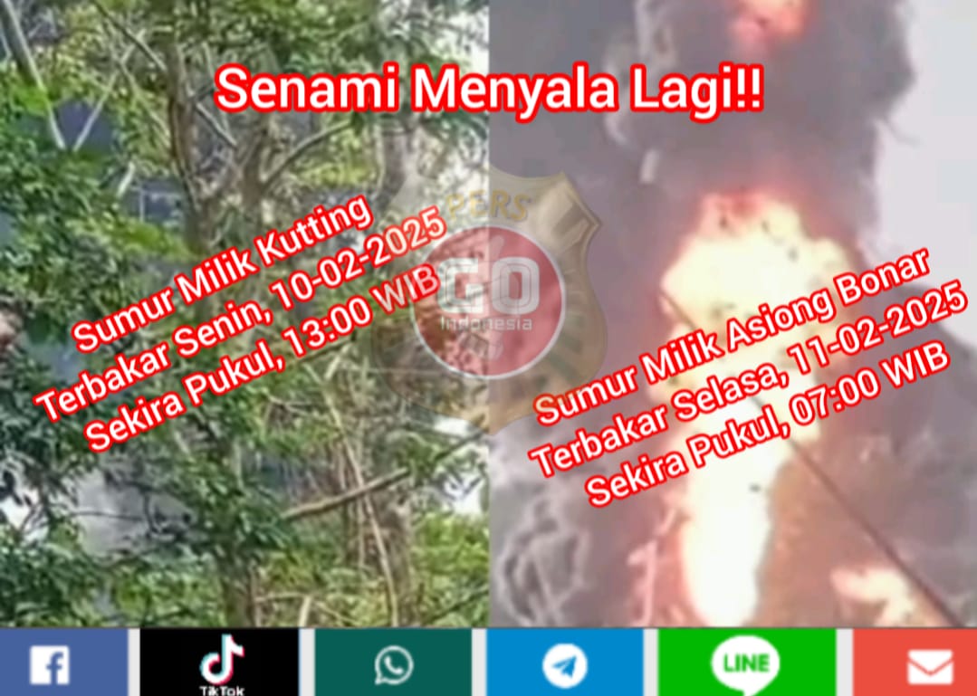 IMG 20250211 WA0007 1