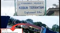 IMG 20250226 WA0033