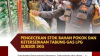 IMG 20250307 WA0041