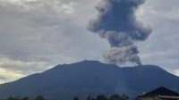 IMG 20250404 WA0001 1