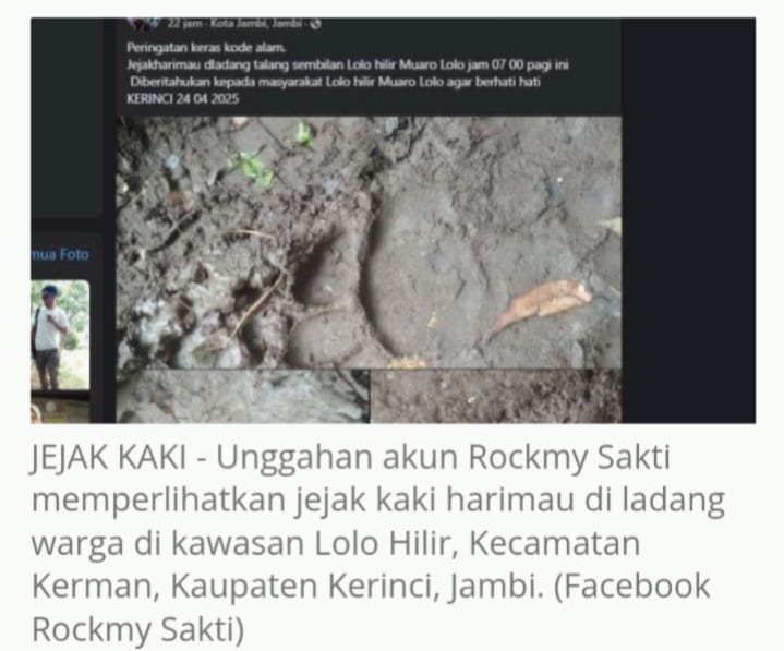 IMG 20250425 WA0017