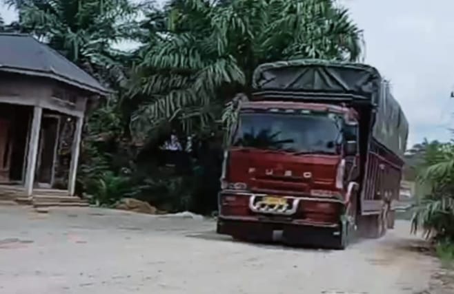 IMG 20250504 WA00291