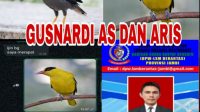 IMG 20250508 WA0000