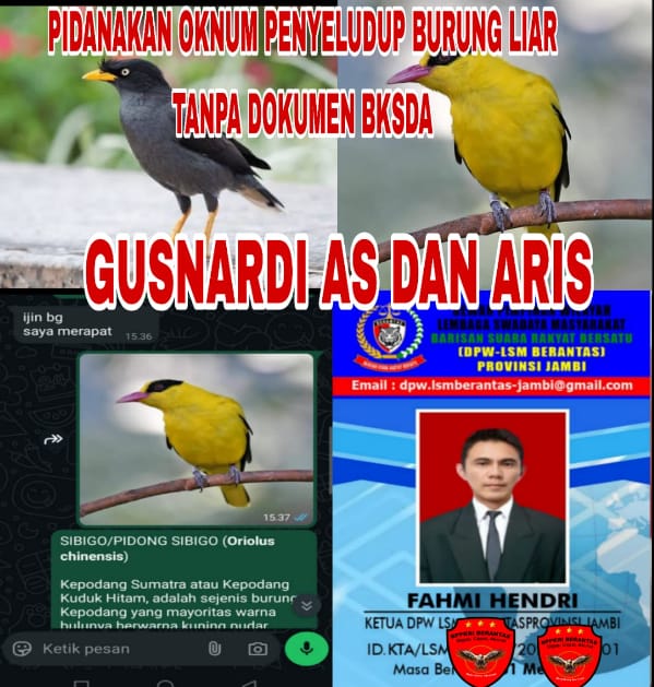IMG 20250508 WA0000