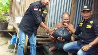 IMG 20250512 WA0011