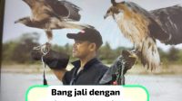 IMG 20250602 WA0103