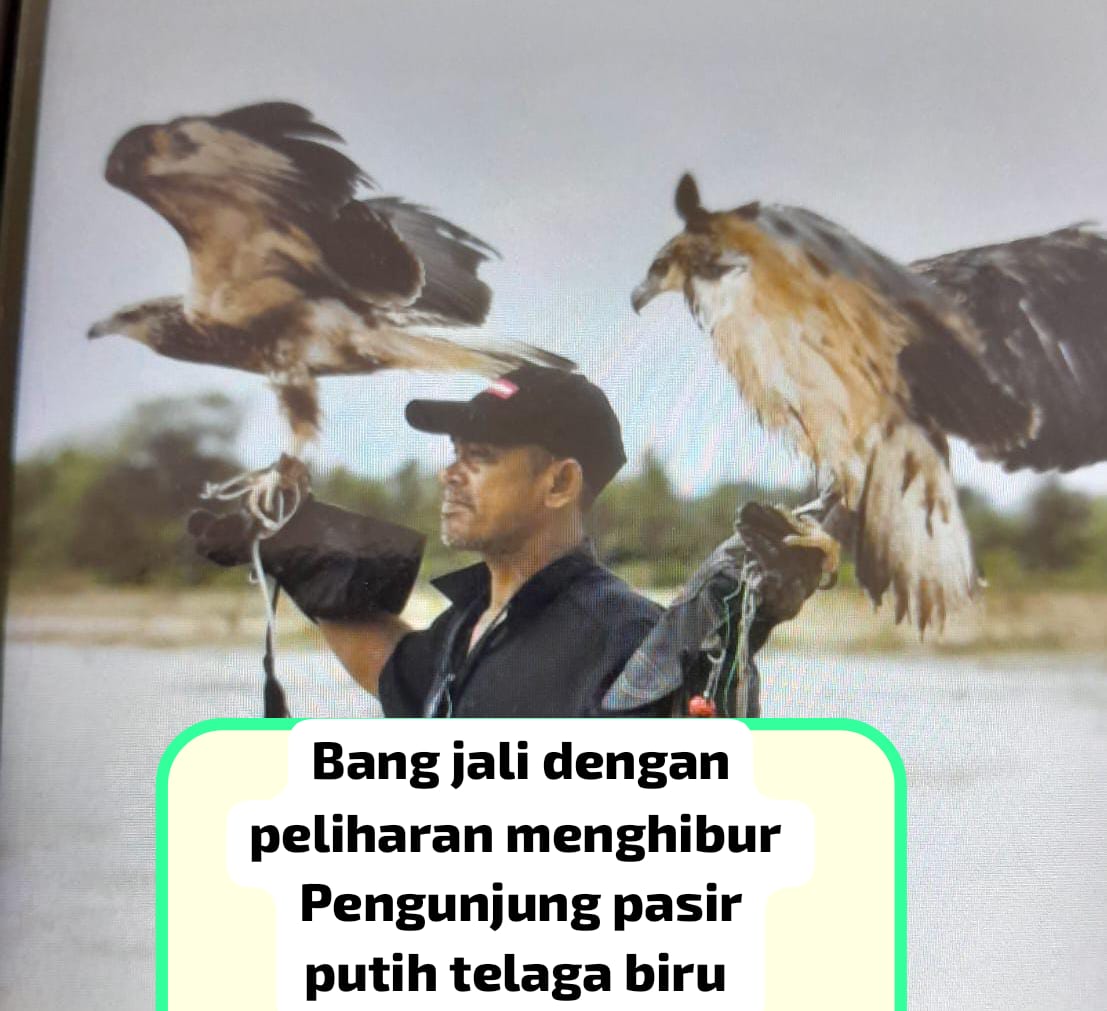 IMG 20250602 WA0103