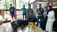 IMG 20250607 WA0039