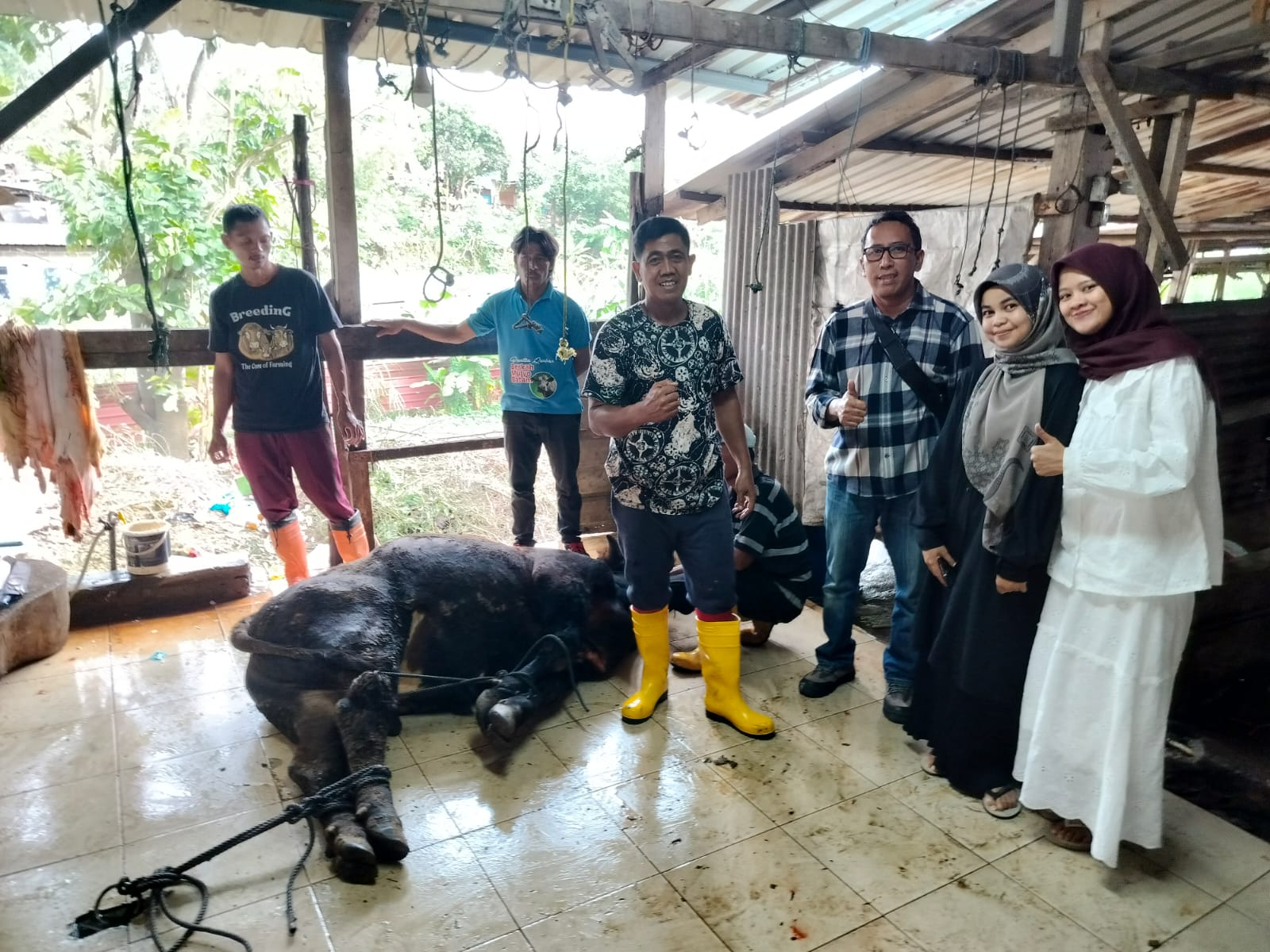 IMG 20250607 WA0039