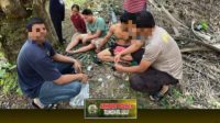 IMG 20250617 WA0036