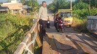 IMG 20250705 WA0029