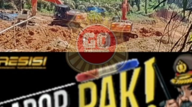 IMG 20250720 WA0016