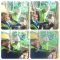 IMG 20250731 WA0010