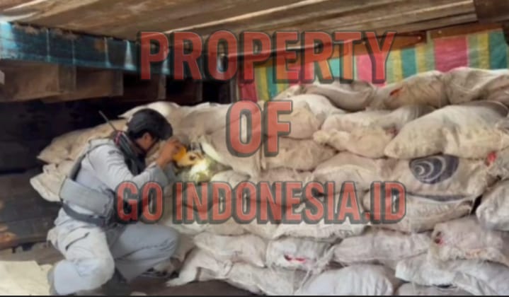 IMG 20250804 WA0105