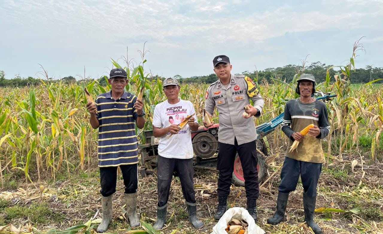 IMG-20250809-WA0049 IMG 20250809 WA0049