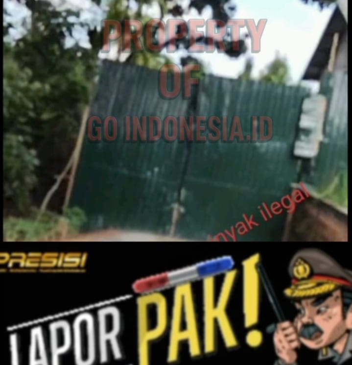 IMG 20250812 WA0037