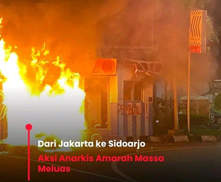 IMG 20250901 WA0033 1