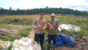 IMG 20250907 WA0014