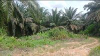IMG 20250922 WA0000