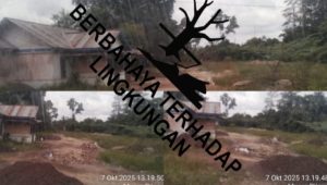 IMG 20251007 WA0016