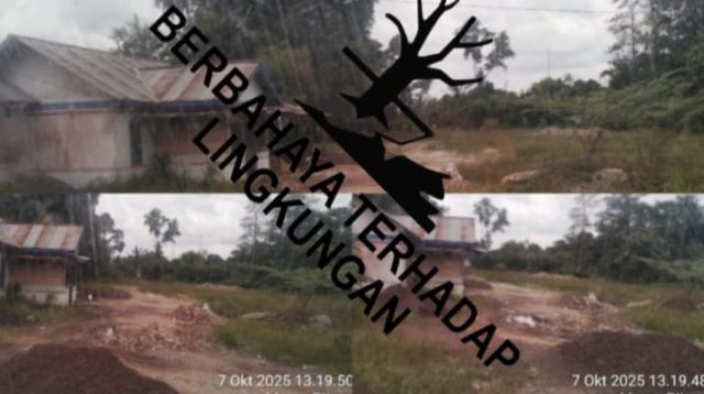 IMG 20251007 WA0016