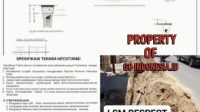 IMG 20251011 WA0011