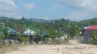 IMG 20251013 WA0141