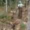 IMG 20251018 WA0025 1
