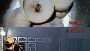 IMG 20251028 WA0048