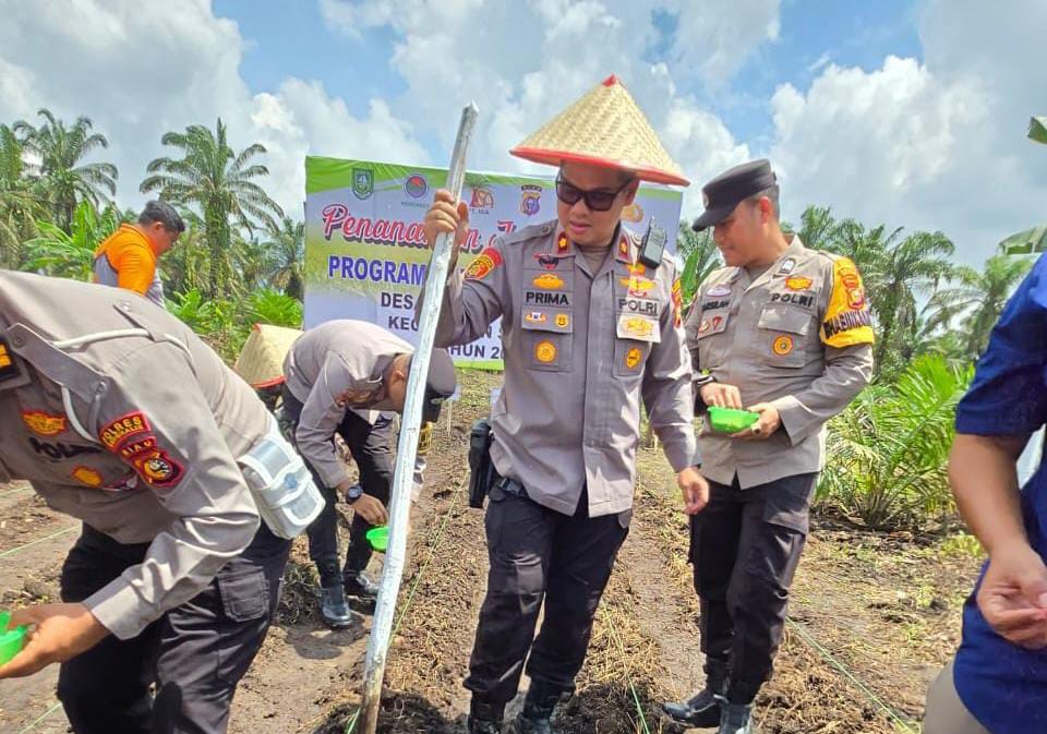 IMG 20251117 WA00161