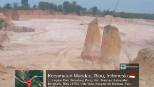 IMG 20251121 WA0030 1