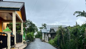 IMG 20251213 WA01841