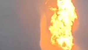 IMG 20260103 WA00001