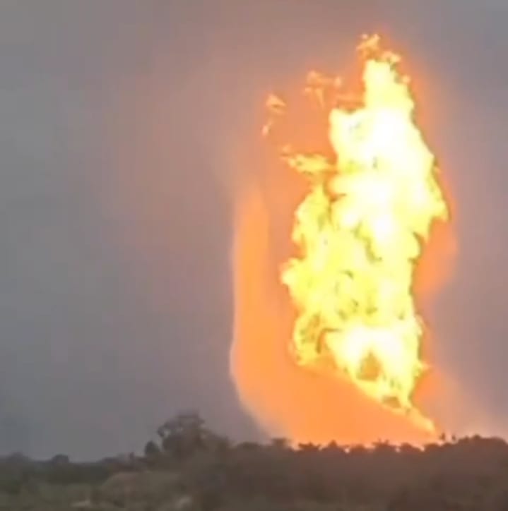 IMG 20260103 WA00001