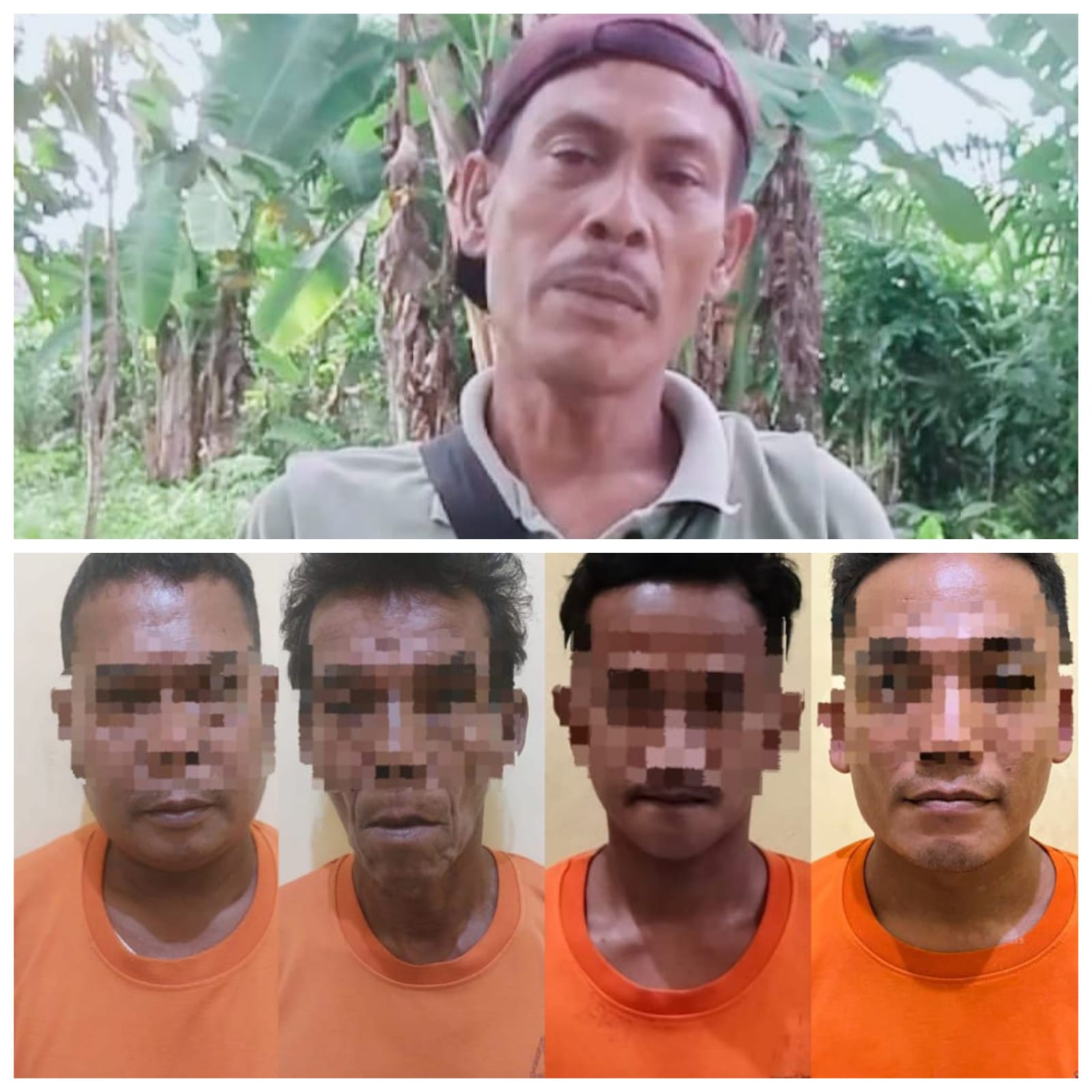 IMG 20260129 WA01161